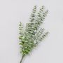 53cm Frosted Eucalyptus Bush Green