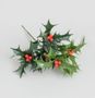 20cm Plastic Holly Green