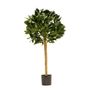Bay Ball Tree Potted - Green - 2.5Ft