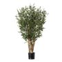 G - Olive Tree  Potted - Green 2.5Ft