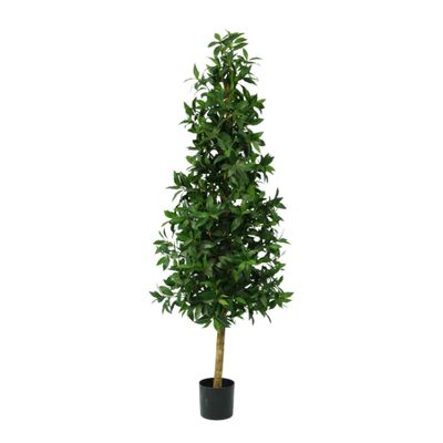 Laurel Tower Tree  Potted -  1776 Lvs - Green - 5Ft