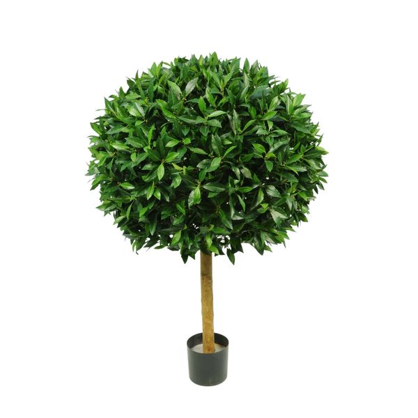 Laurel Ball Tree Potted  - 4588 Lvs - Green - 5Ft