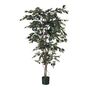 Ficus Tree Potted - 720 Lvs - Green - 4Ft