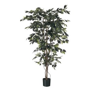 Ficus Tree Potted - 720 Lvs - Green - 4Ft
