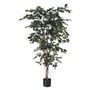 Ficus Tree Potted - 1248Lvs - Green - 6Ft
