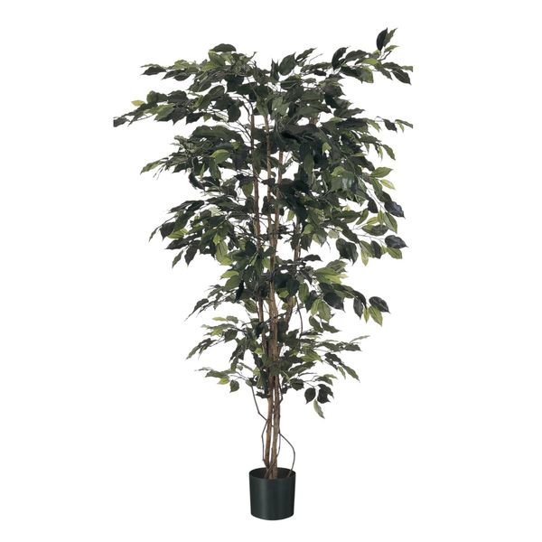  Ficus Tree Potted - 1488Lvs - Green - 7Ft