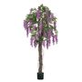 Wisteria Tree  Potted - Purple - 4Ft
