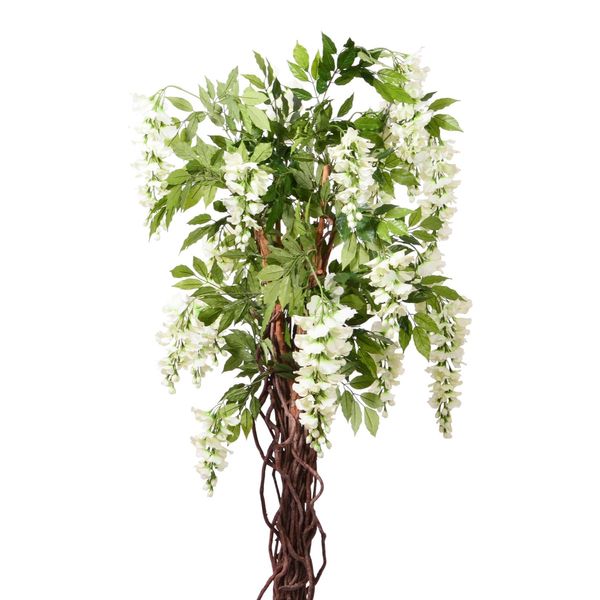 Wisteria Tree Potted - Cream - 5Ft