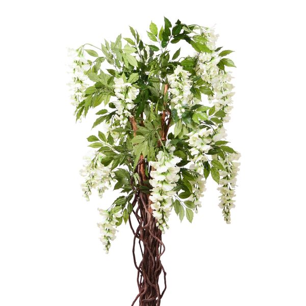 Wisteria Tree Potted - Cream - 6Ft