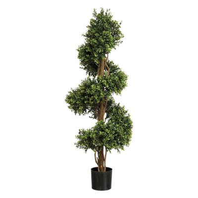 Boxwood Spiral  Tree  Potted  - 2412Lvs Green - 5Ft