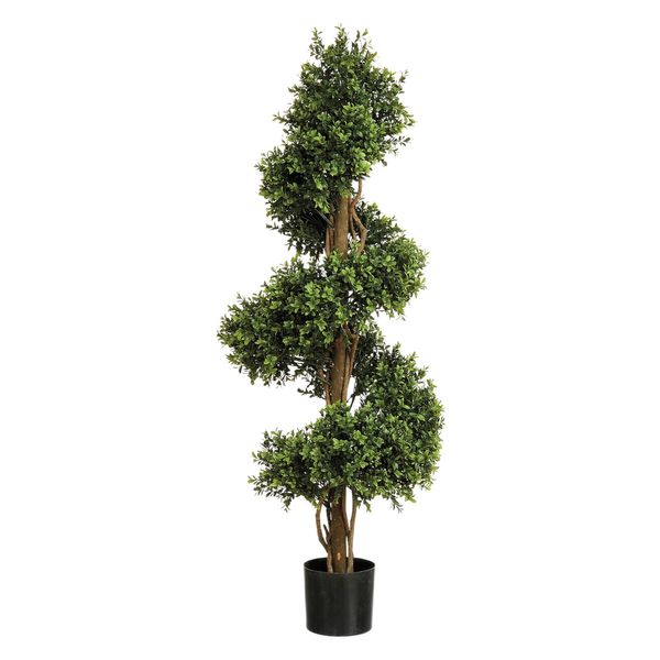 Boxwood Spiral  Tree  Potted  - 2412Lvs Green - 5Ft