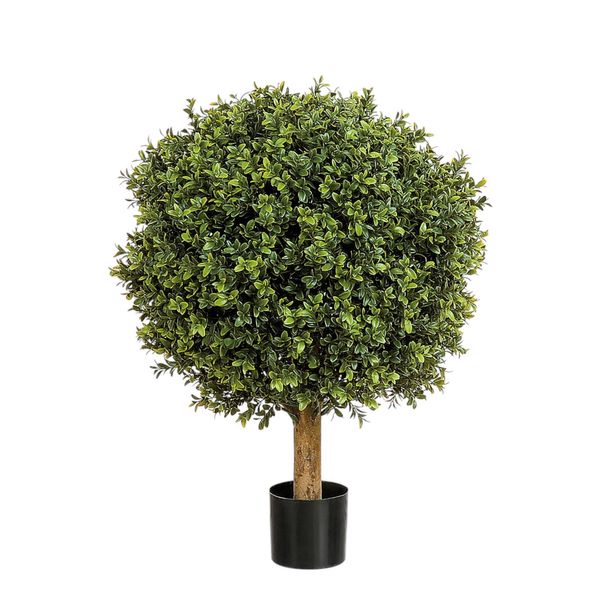 50cm Boxwood Ball Tree Potted - 1548Lvs -Green