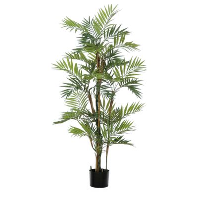 Parlour Palm Tree Potted - Green - 4Ft 