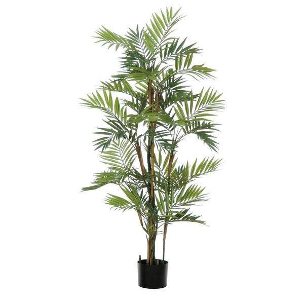 Parlour Palm Tree Potted - Green - 4Ft 