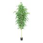 Silver Birch Tree Potted - 3500Lvs - Green - 10Ft