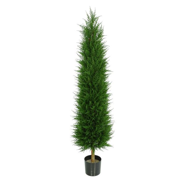 Cupressus Tower Tree Potted  - 828 Lvs - Dark Green 4Ft
