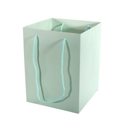 Hand Tie Bag 19x25cm - Pearlised Willow Green