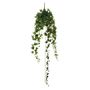 English Ivy Hanger - Green - 130cm -  303 Lvs