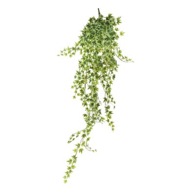 Ivy hanger - Variegated - 120cm - 515 Mini Lvs