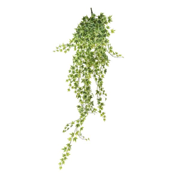 Ivy hanger - Variegated - 120cm - 515 Mini Lvs