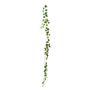 Ivy Garland - Variegated -  98 Lvs