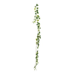 Ivy Garland - Variegated -  98 Lvs