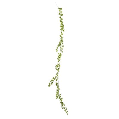 Ivy Garland - Variegated - 182cm - 144 Mini Lvs