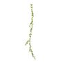 Ivy Garland - Variegated - 182cm - 144 Mini Lvs