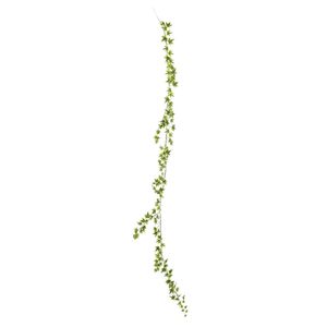 Ivy Garland - Variegated - 182cm - 144 Mini Lvs