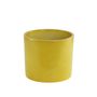 Gemma Yelllow Lasur Ma 850-69 / D14.T1 13