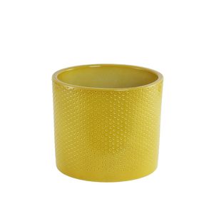 Gemma Yelllow Lasur Ma 850-69 / D14.T1 13