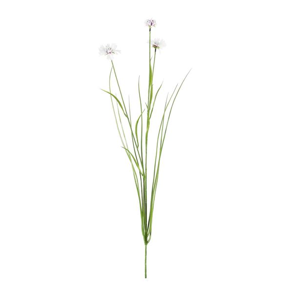 Botanica Cornflower - White - 69cm