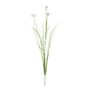 Botanica Cornflower - White - 69cm