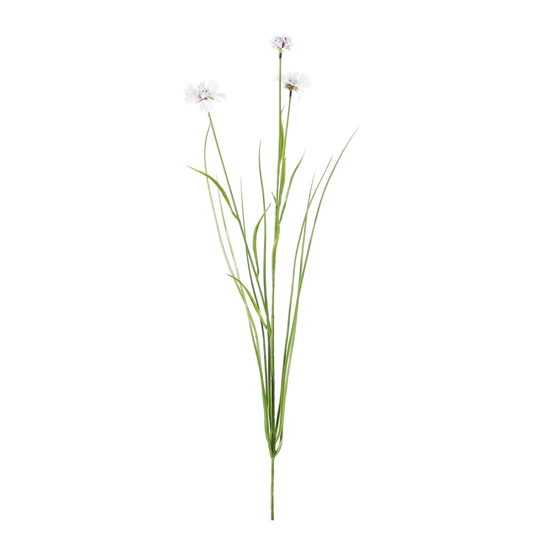 Botanica Cornflower - White - 69cm