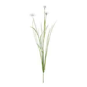 Botanica Cornflower - White - 69cm
