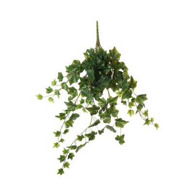 English Ivy Hanger - Green - 71cm - 144 Lvs