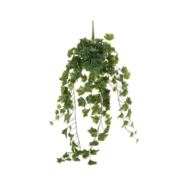English Ivy Hanger - Green - 86cm - 191 Lvs