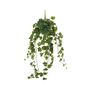 English Ivy Hanger - Green - 86cm - 191 Lvs