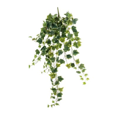 English Ivy Hanger - Variegated - 86cm - 191 Lvs