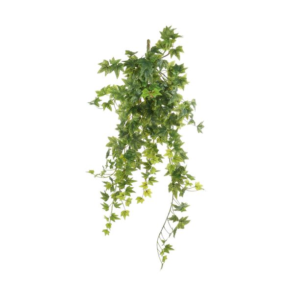 Ivy hanger - Green - 64cm - 204 Mini Lvs