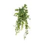Ivy hanger - Green - 64cm - 204 Mini Lvs