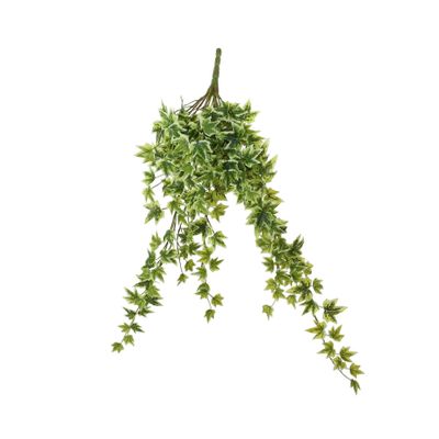 Ivy hanger - Variegated - 64cm - 204 Mini Lvs