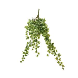 Ivy hanger - Variegated - 64cm - 204 Mini Lvs