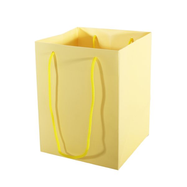 Hand Tie Bag 19x25cm - Pearlised Cream