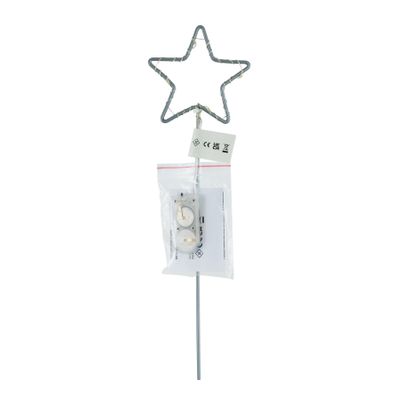 Plants Silver Starlight Pick