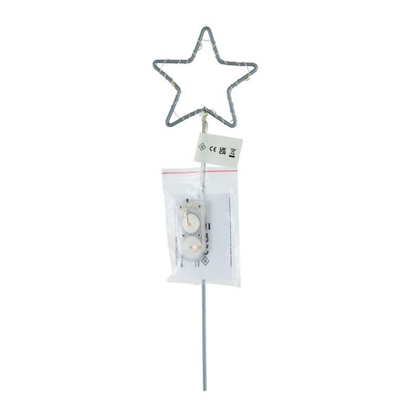 Plants Silver Starlight Pick