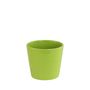 Lime Green Ceramic 10cm 