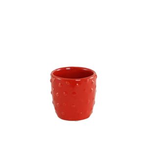 Red Fruit Face Pot