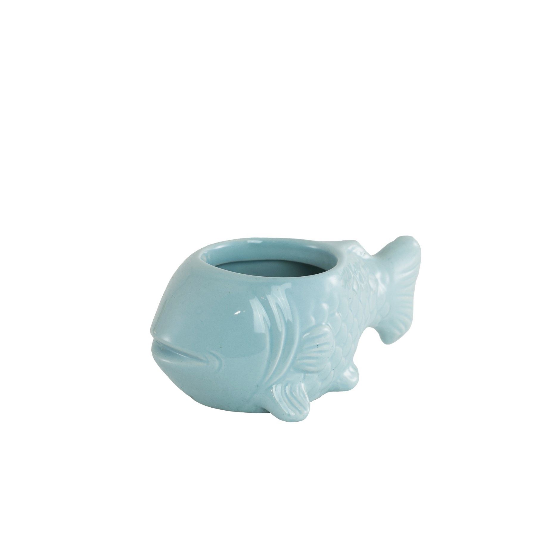 Light Blue Fish Ceramic 