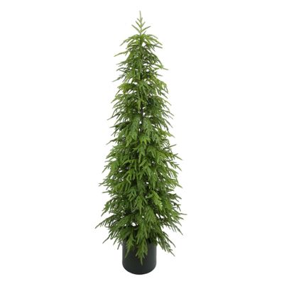 Pine Tree Potted - Green - 183cm